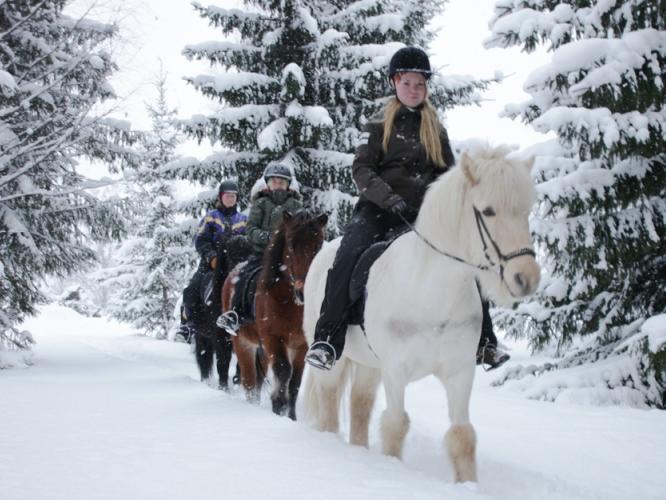 Färgbild - en grupp ryttare till häst i vinterlandskapet