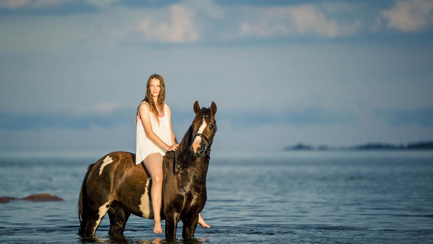 Häst och ryttare i vattnet på havsstrand..