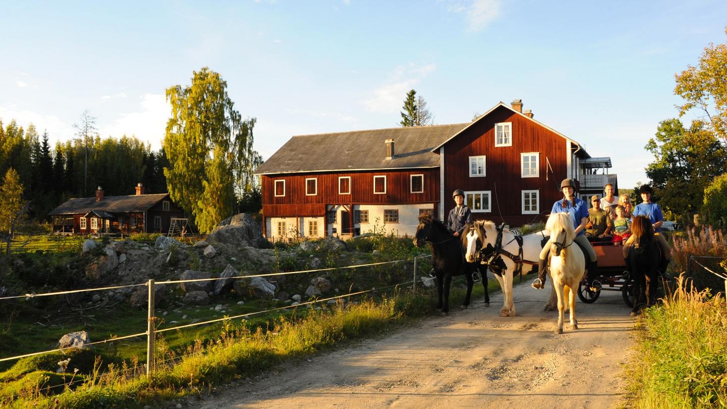 Hästar, ryttare och häst ned vagn framför röd lantgård i grönskande sommar.