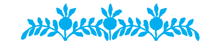 Delsbosöm - grafisk profil Hälsingland - light blue