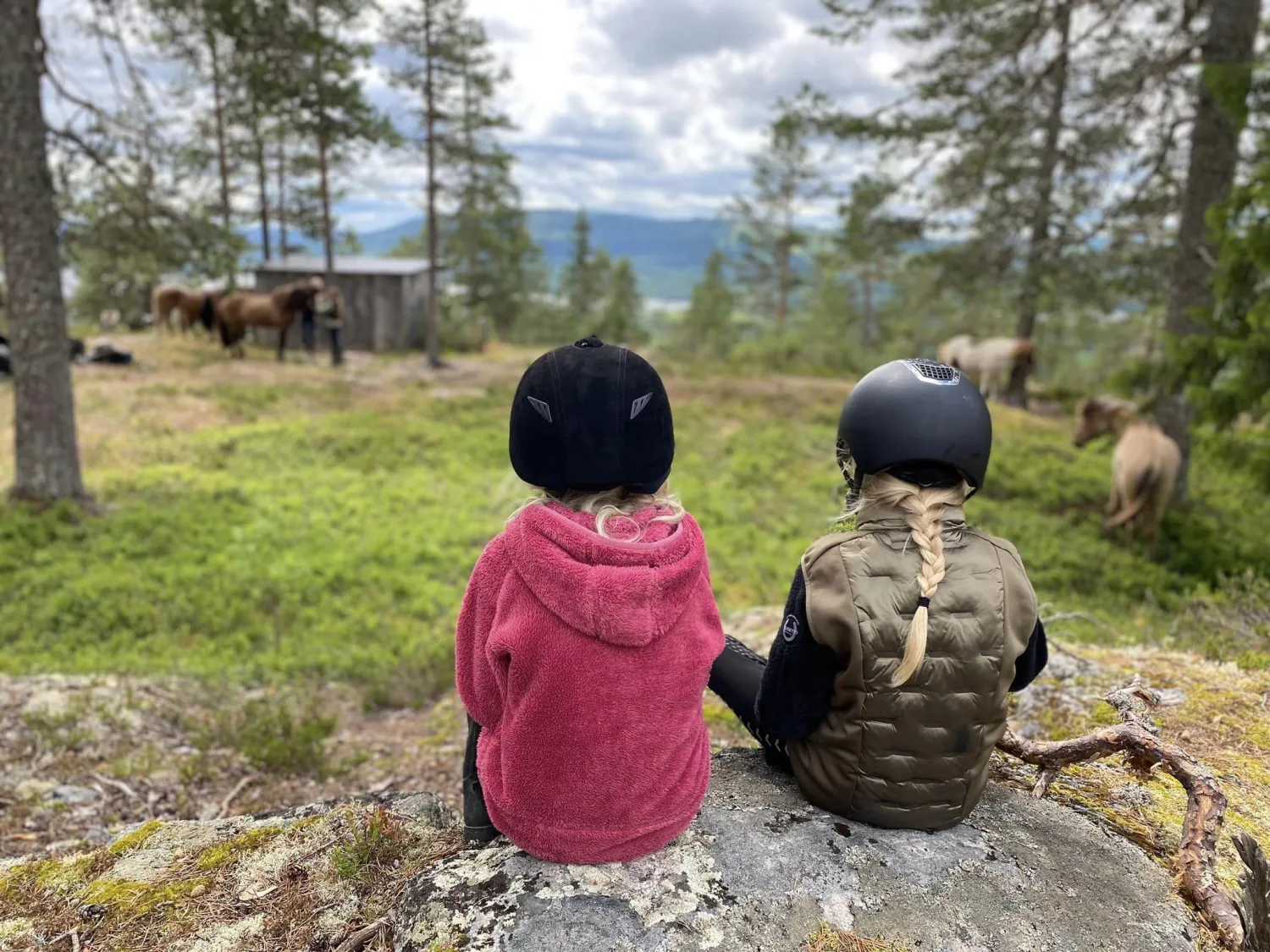 Färgbild - barn som sitter ute i naturen på en sten. Hästar i bakgrunden.