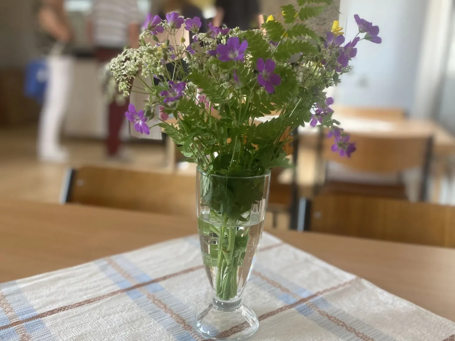 Midsommar i Mellanfjärden