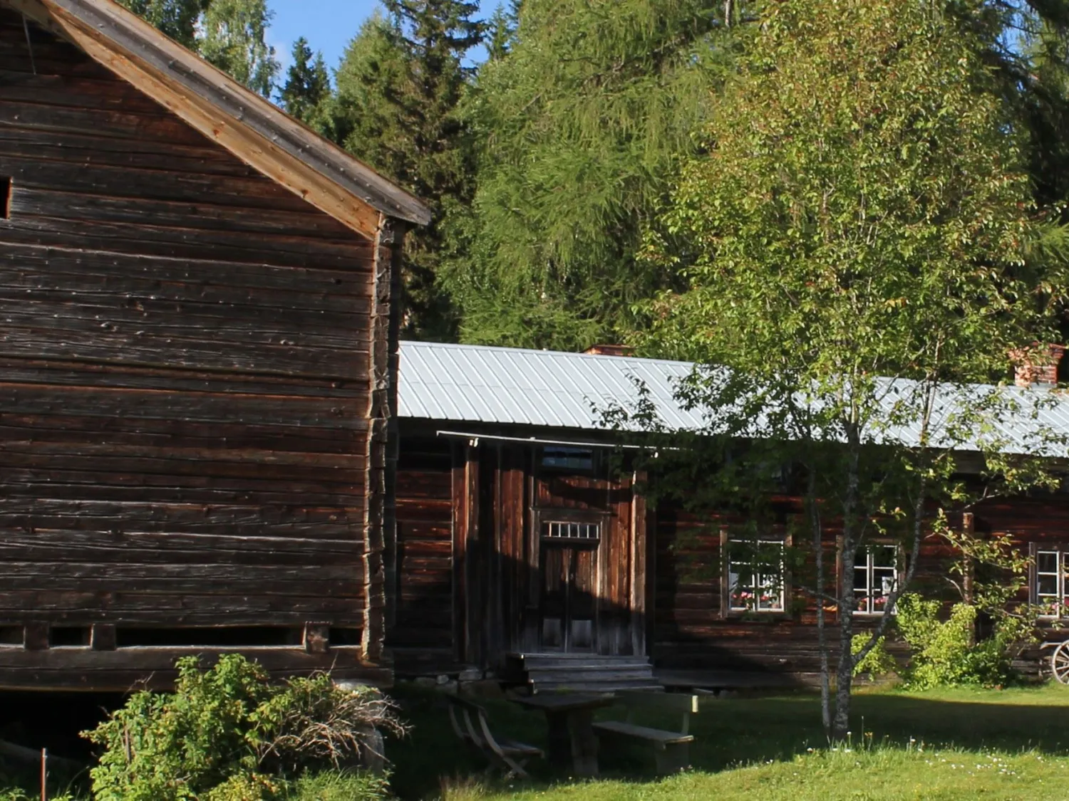 Färgbild - exteriör bild på gammal Hälsingegård. Träfärgade byggnader i prunkande grönska
