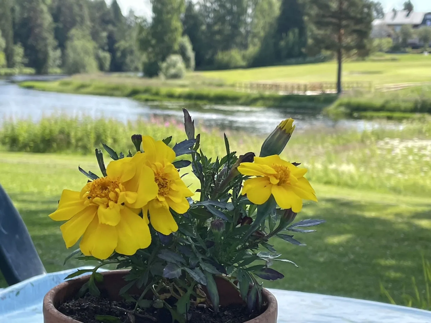 Hassela Golf Club