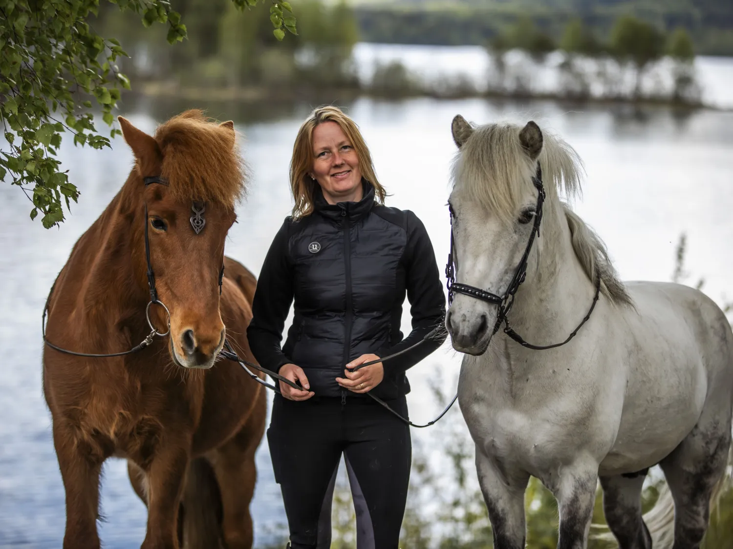 Storskogen's Horse Rides