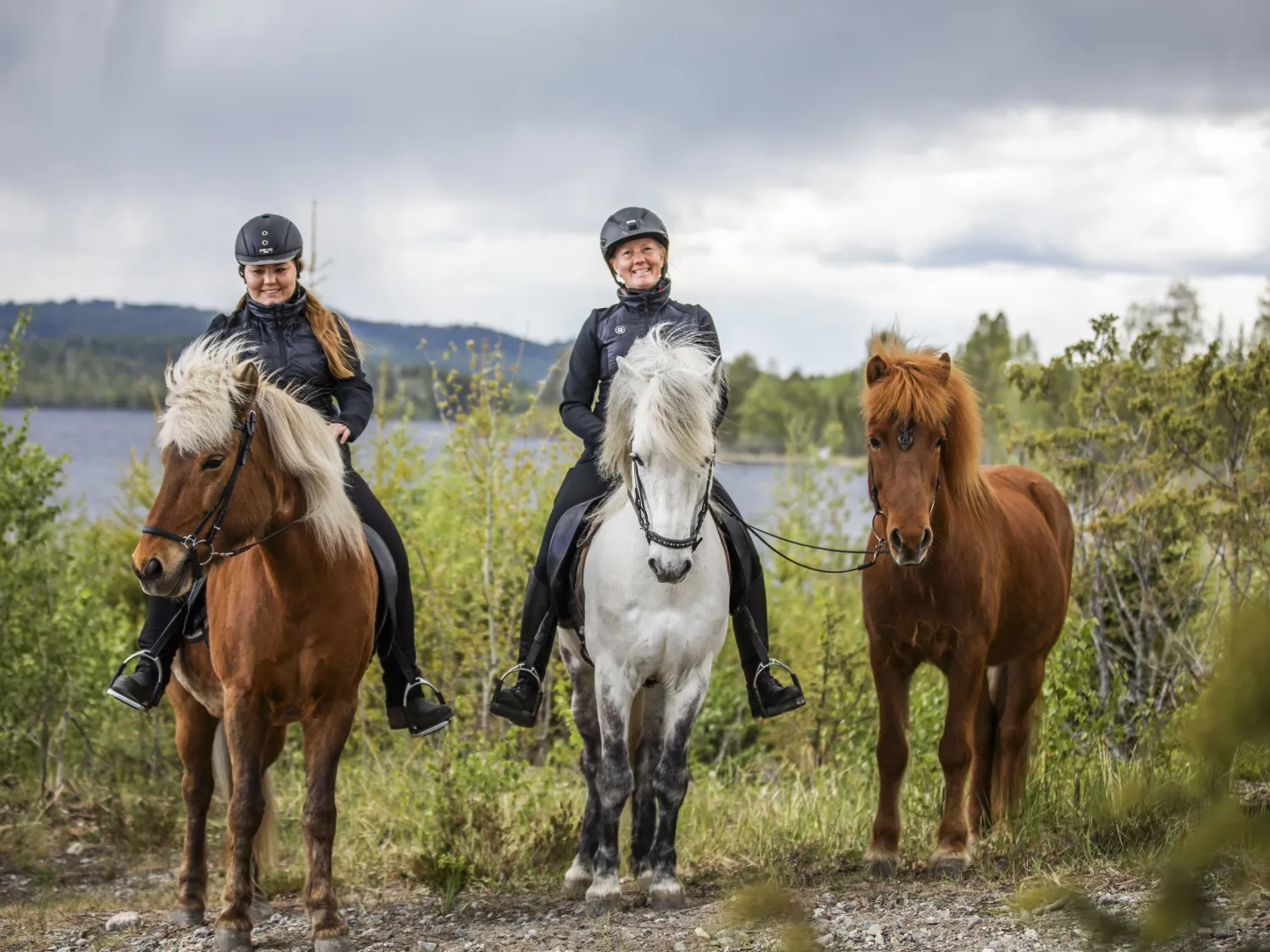 Storskogen's Horse Rides