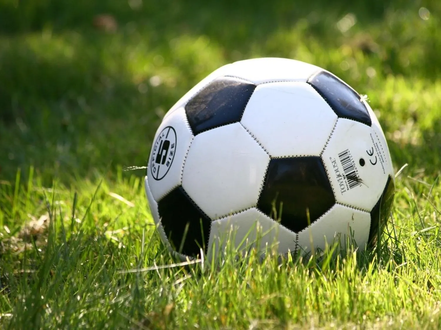 Färgbild - närbild på fotboll liggande på gräsmatta.