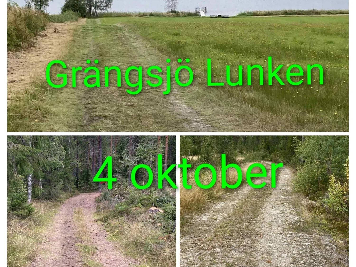 Färgcollage - tre naturbilder med natur och vatten. Grön text på bilderna: Grängsjölunken 4 oktober.