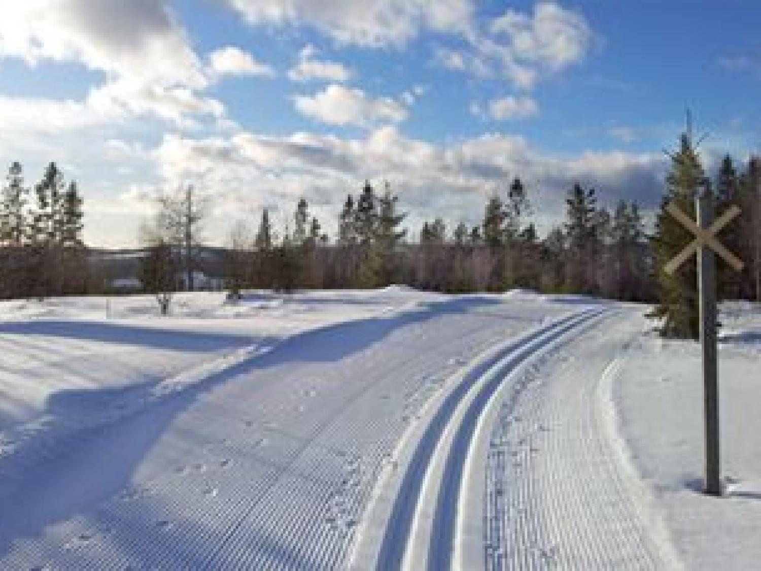 Cross country skiing in Nordanstig