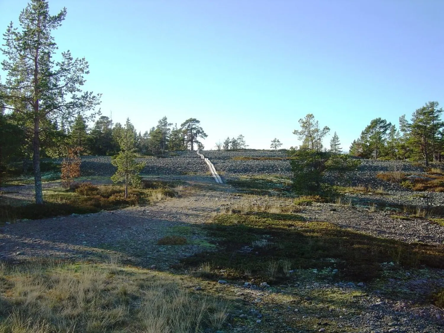 gran, ö, naturreservat, nordanstig, gnarp