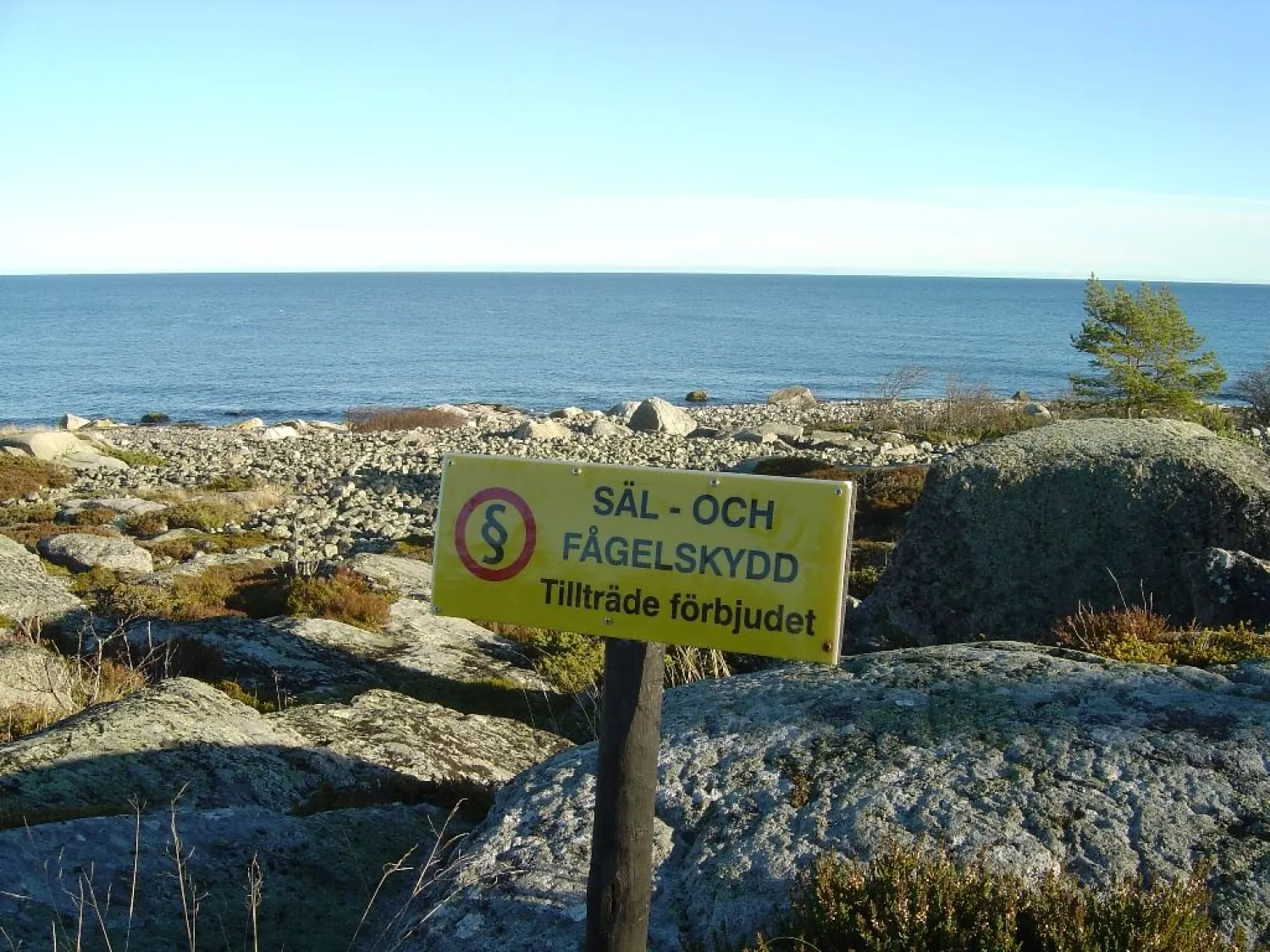 gran, ö, naturreservat, nordanstig, gnarp