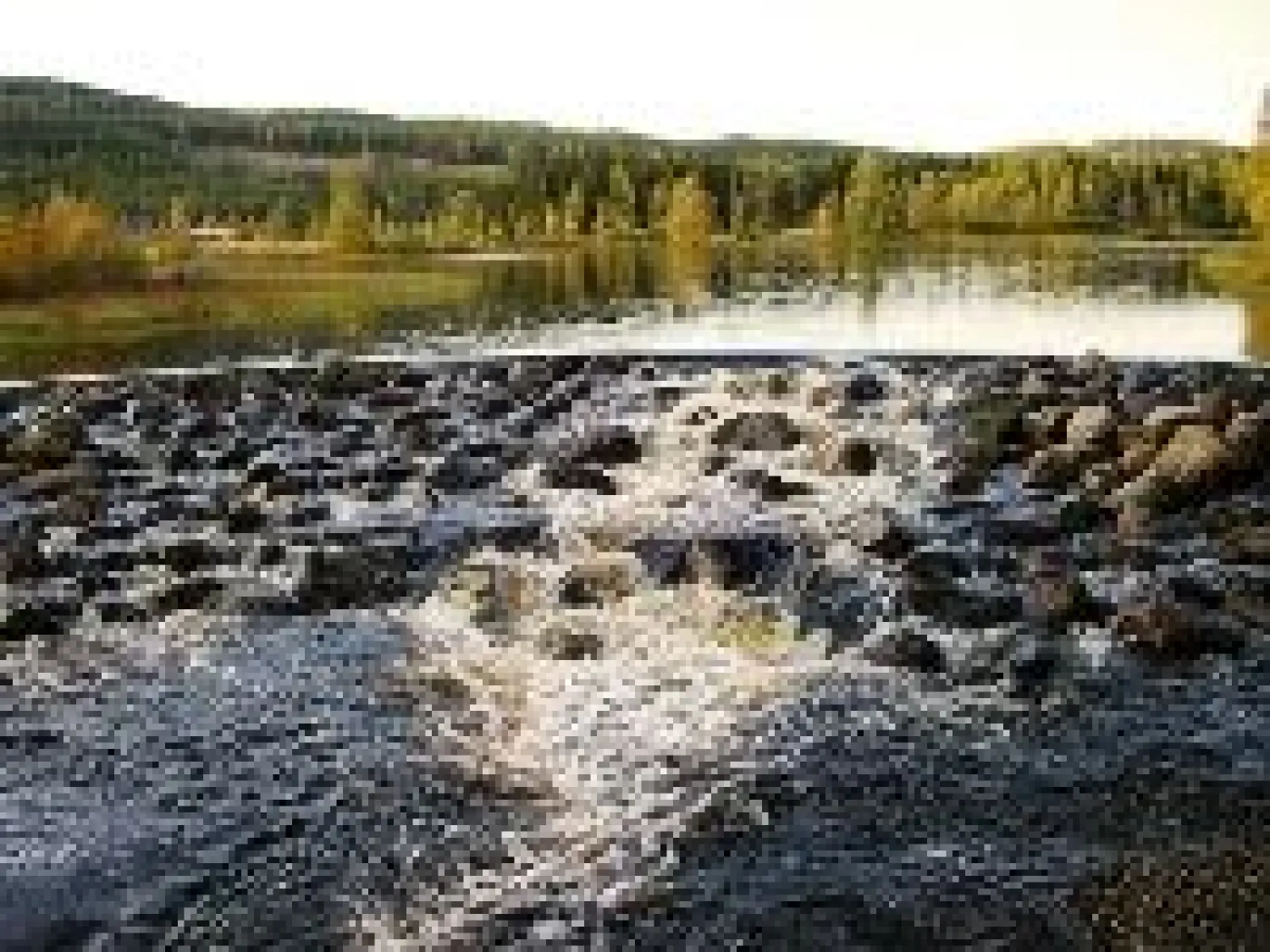 Fishing in Nordanstig