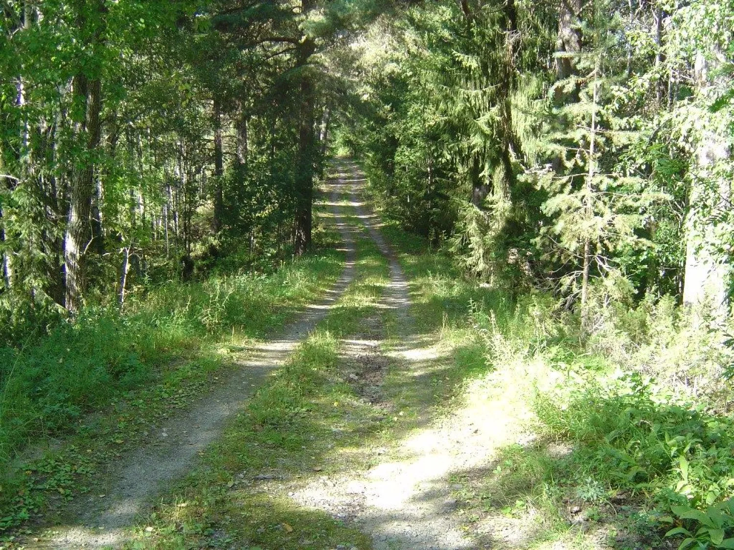 Ånäset - nature reserve