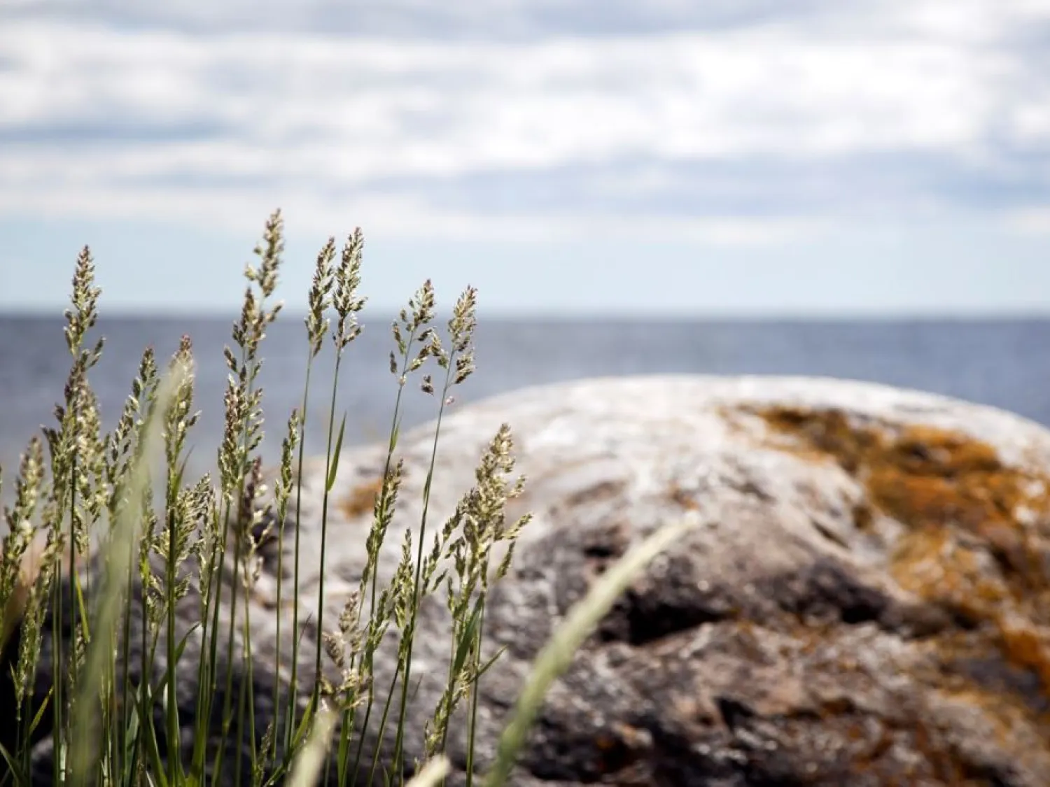Kustleden - The Coastal Trail