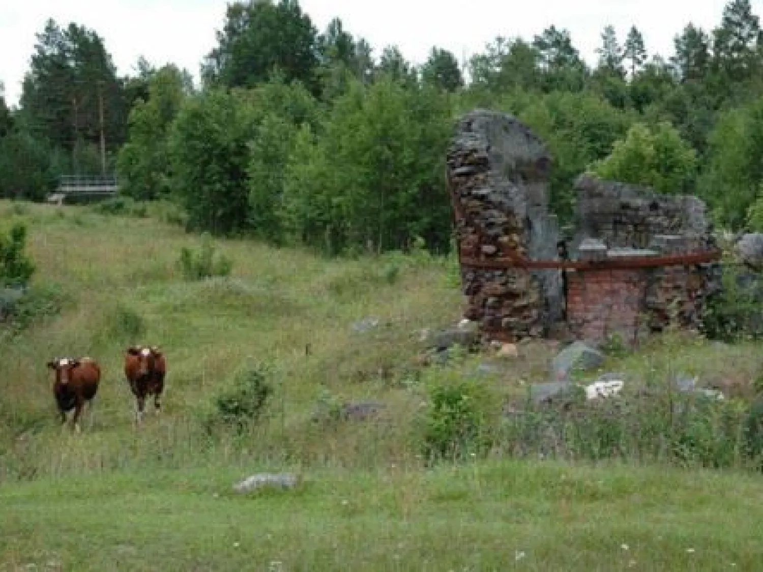 Gnarps masugn - fornminne