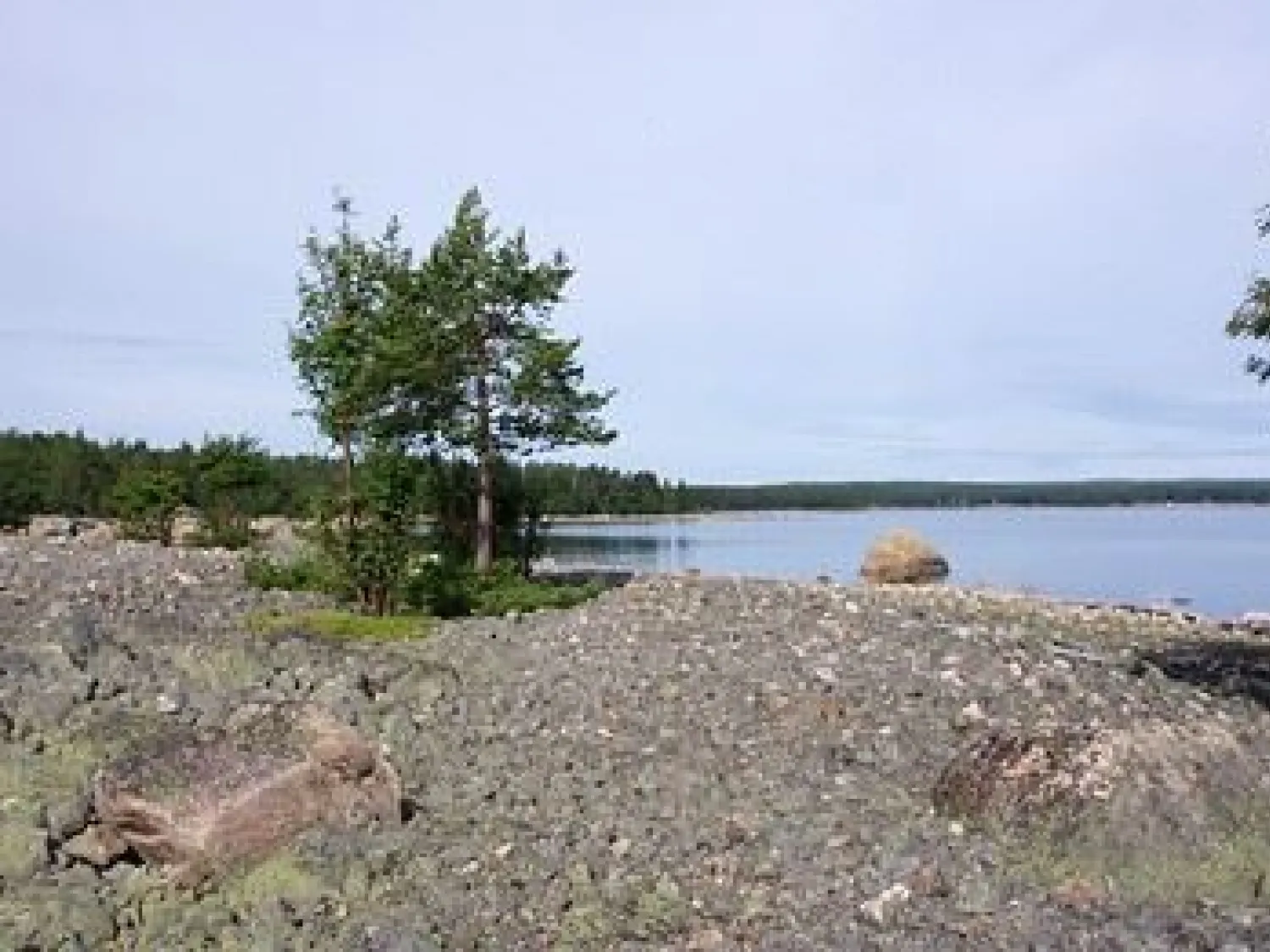 Gnarpsskaten - Nature reserve