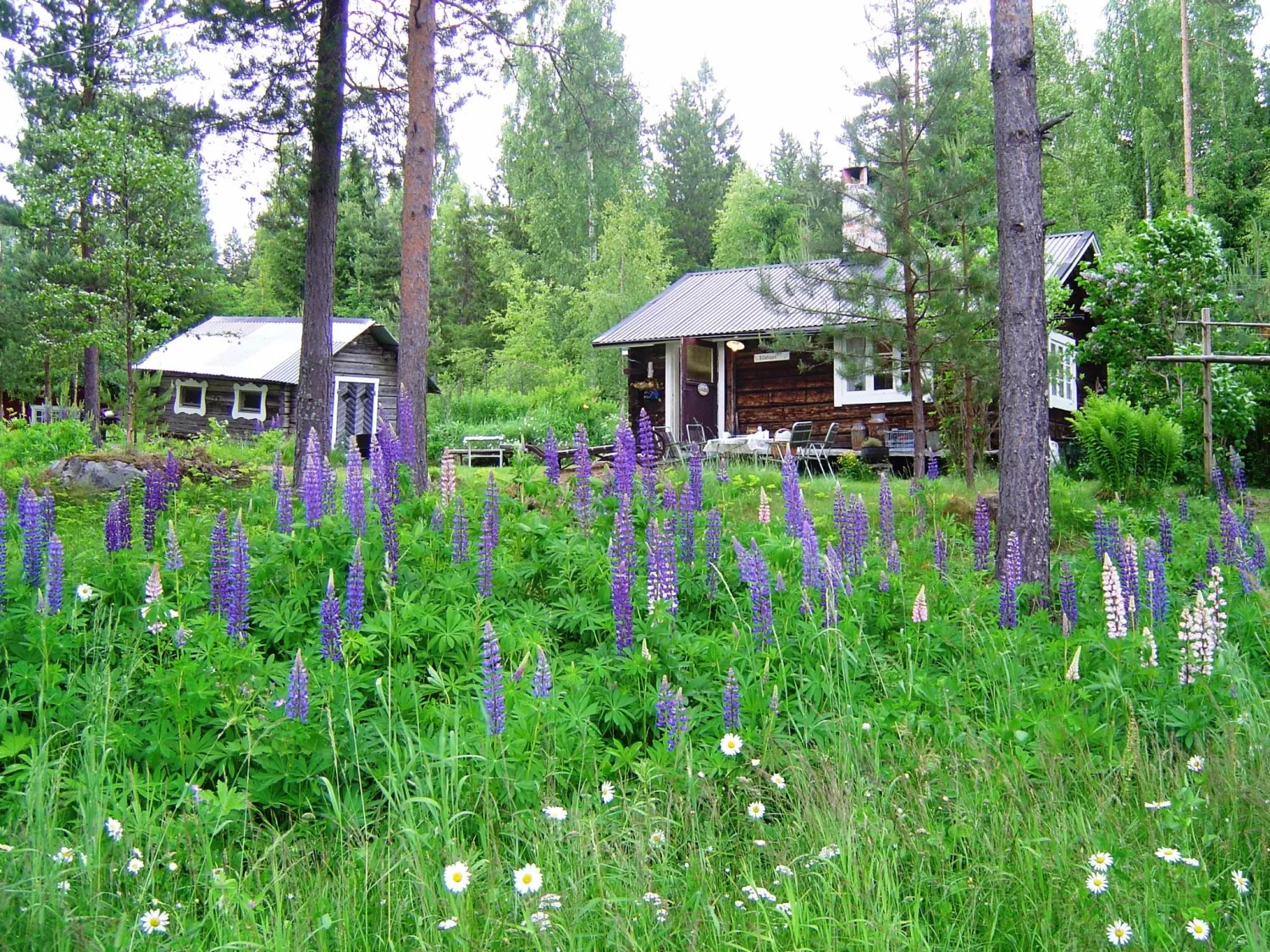 Stuga Lillbovallen, Delsbo
