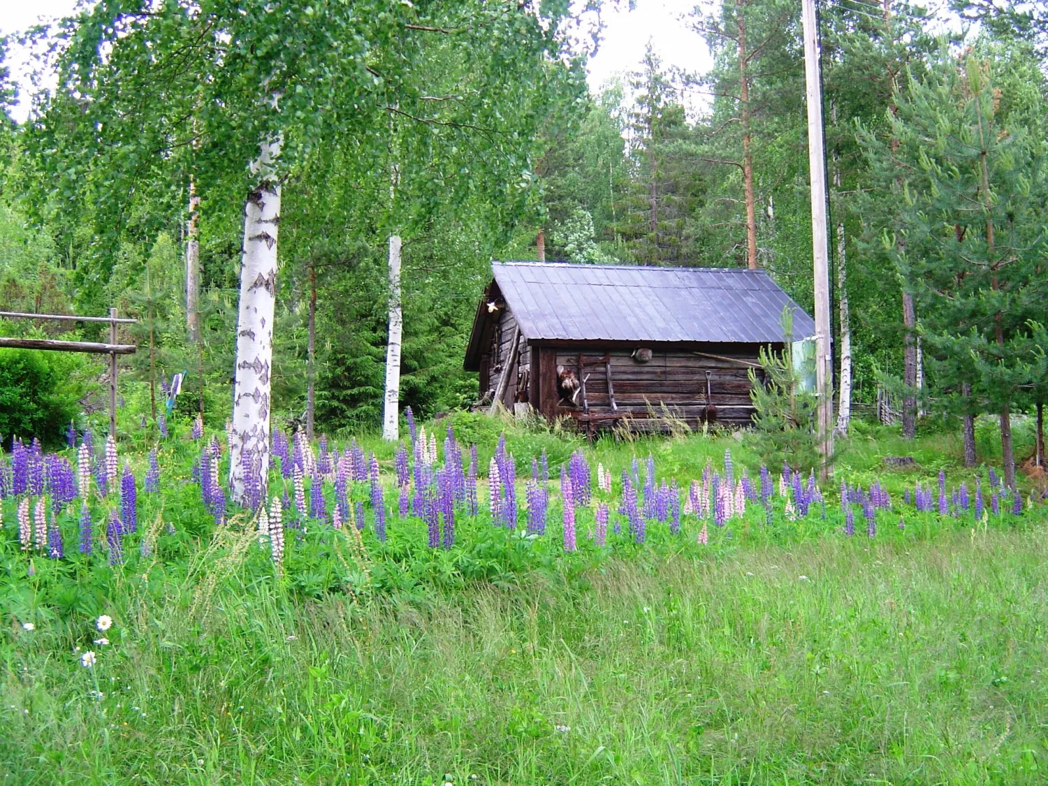 Stuga Lillbovallen, Delsbo