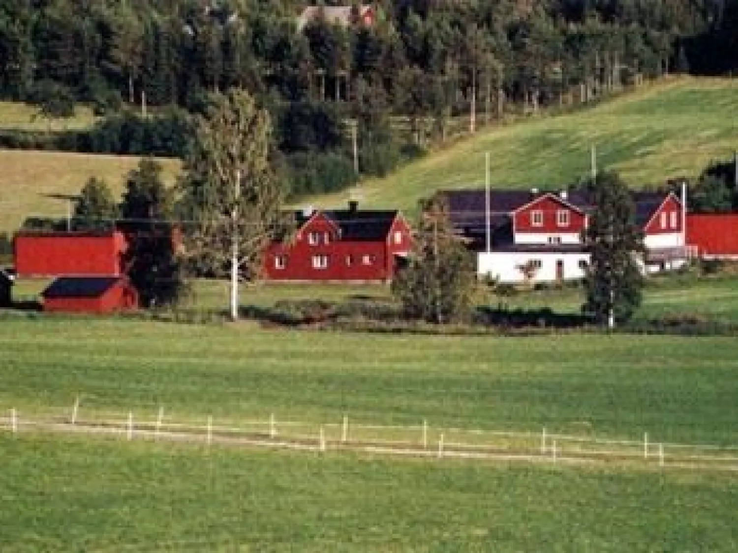 Hälsingesylt i Gnarp - syltproducent