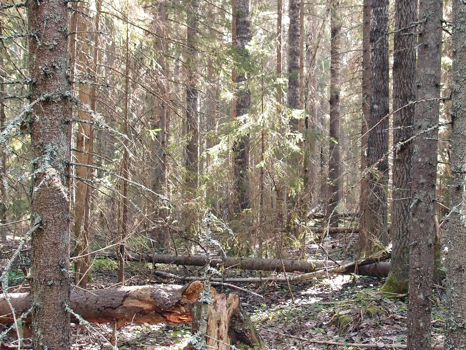 Klovbacken naturreservat