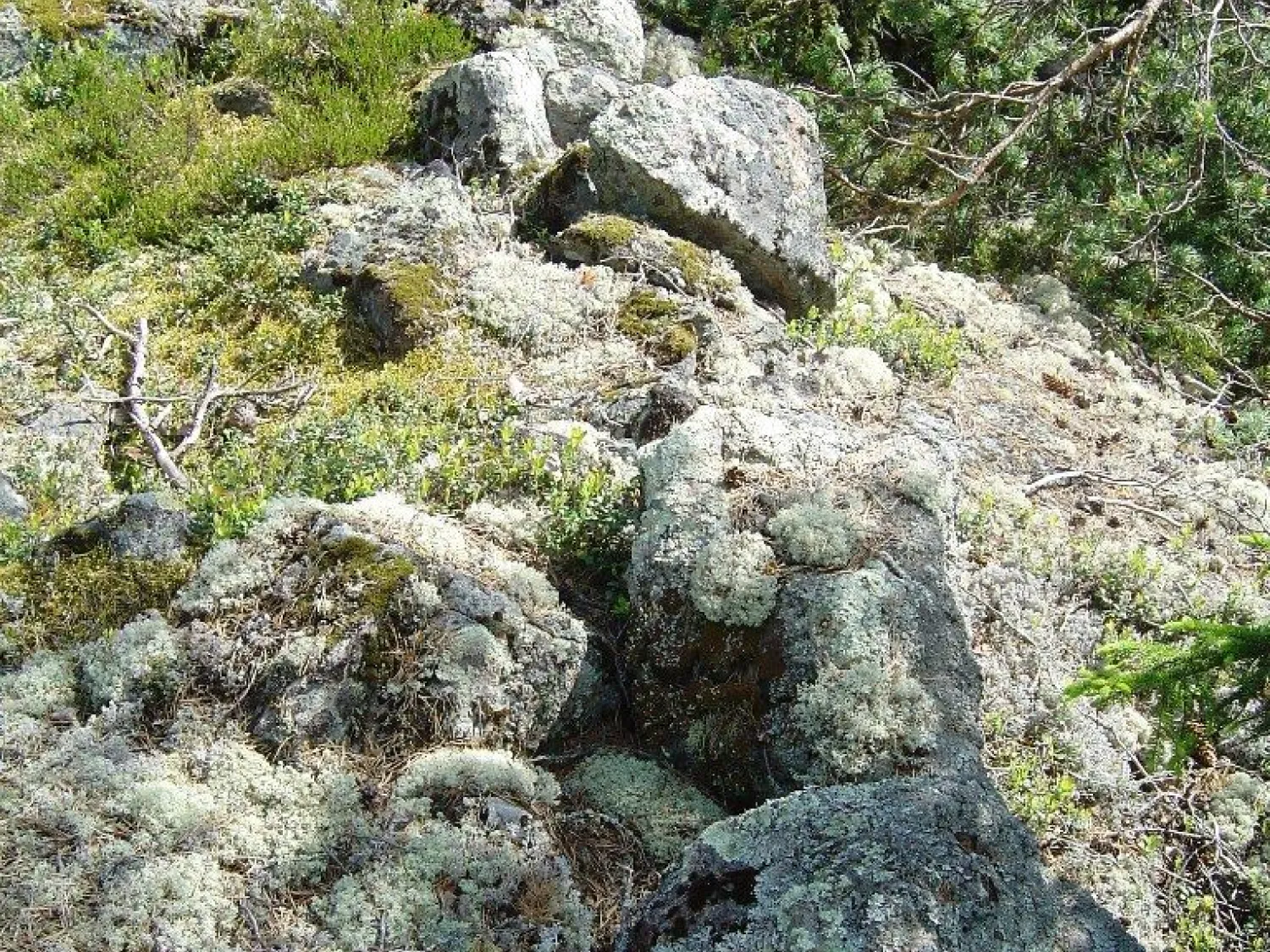 Ilsbo fornborg