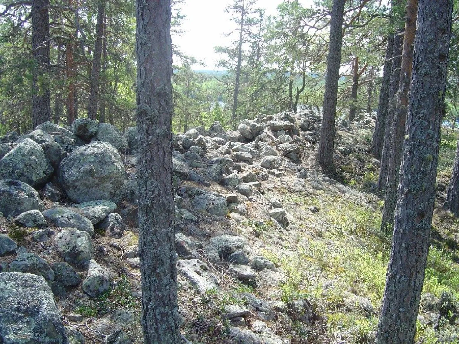 Vettbergets ancient castle - Gnarp