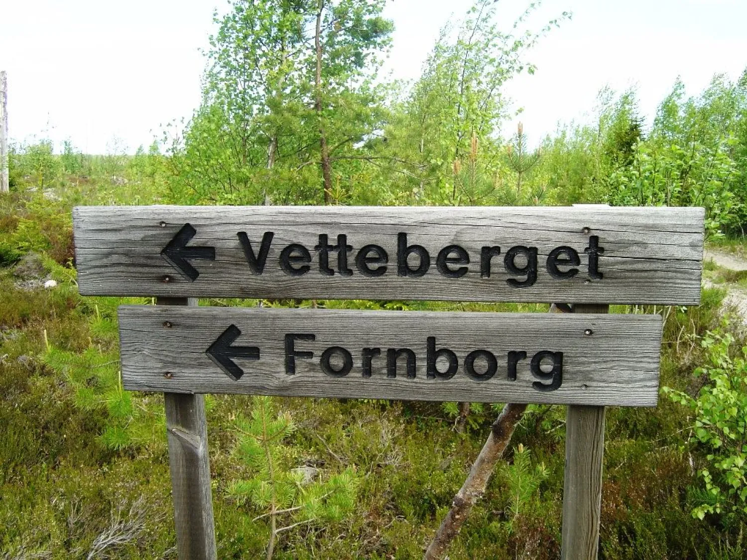 Vettbergets ancient castle - Gnarp