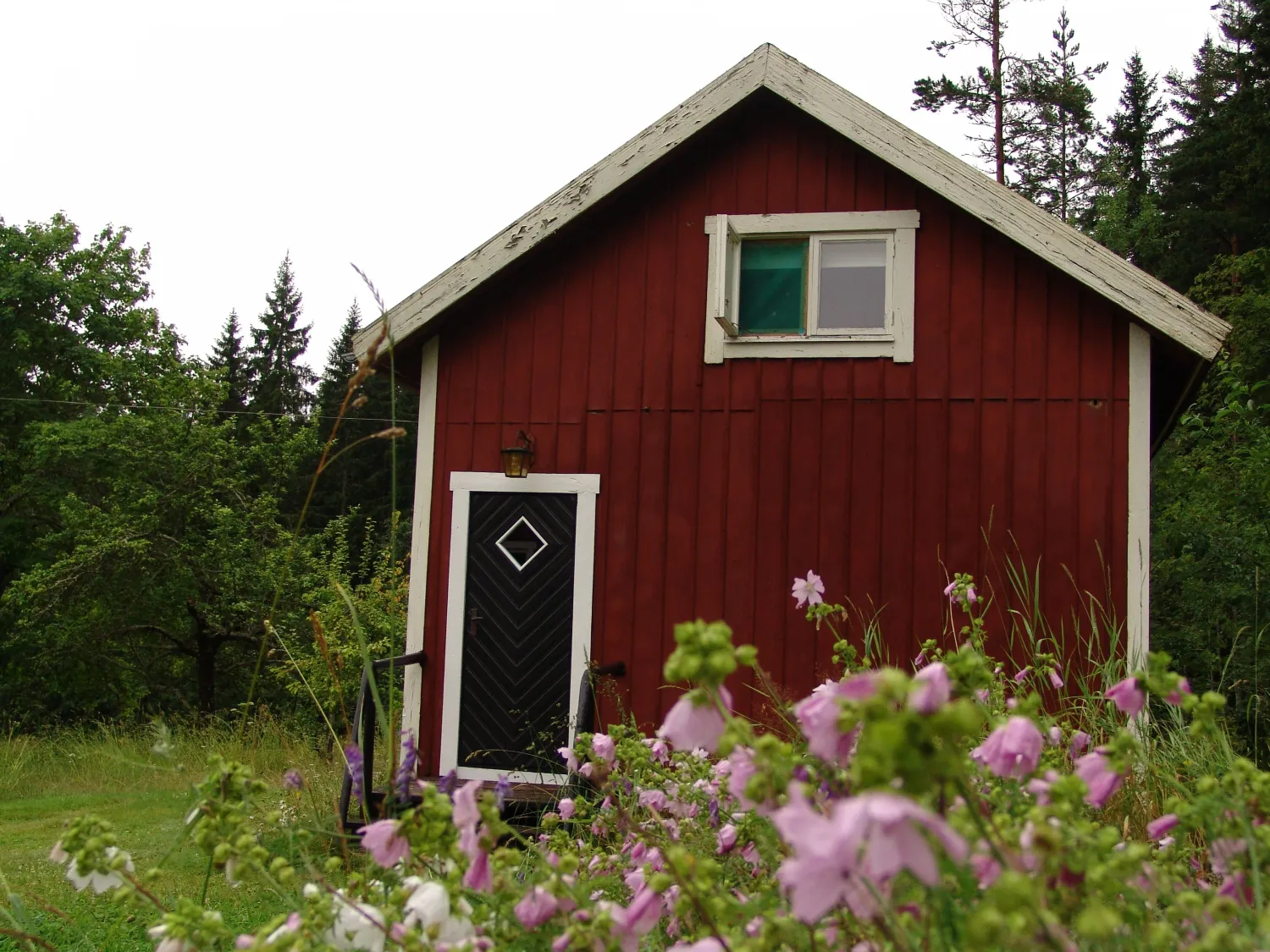 Kitte, Bergsjö - Sweden