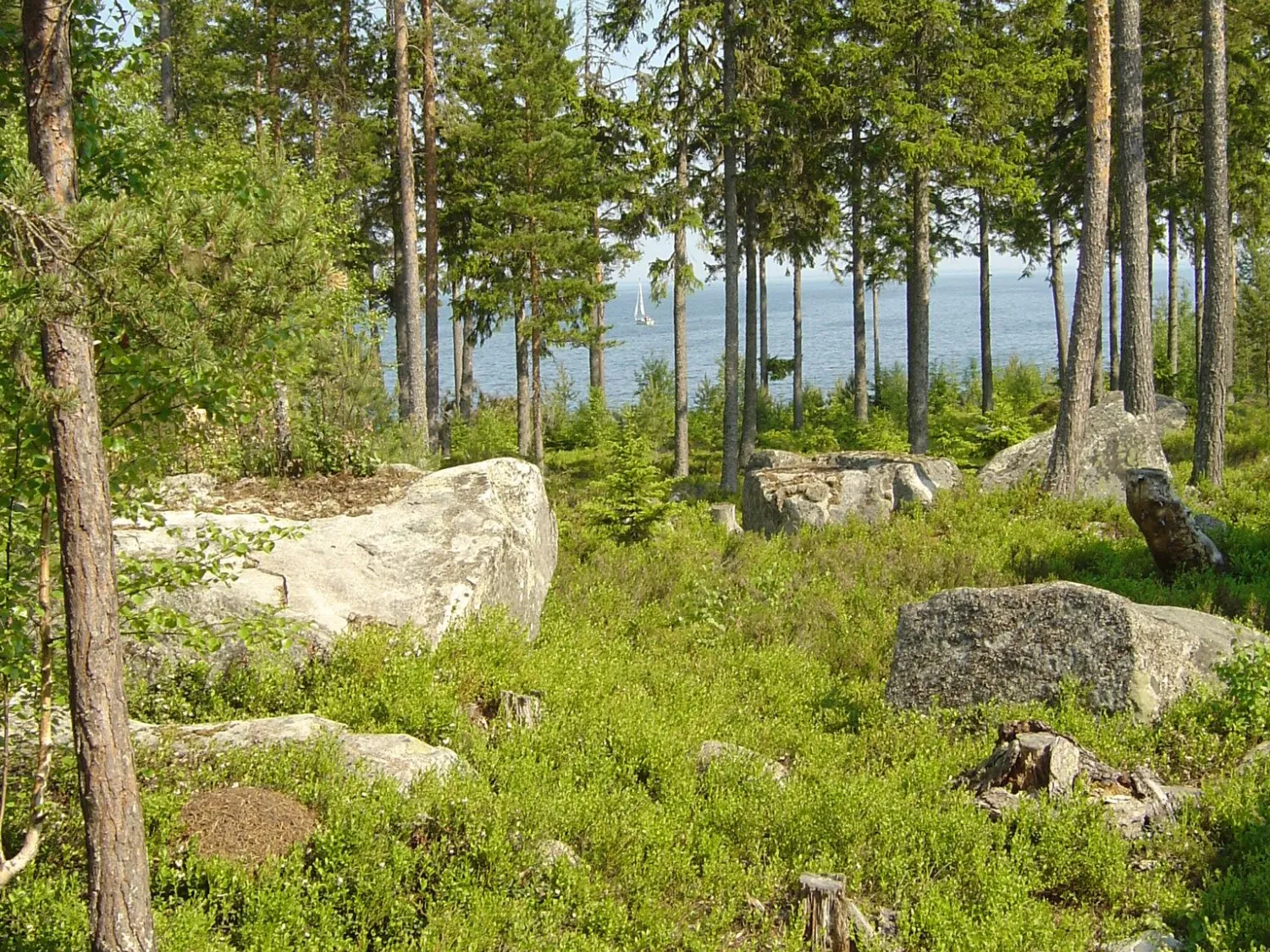Mellanfjärden, Jättendal - N043