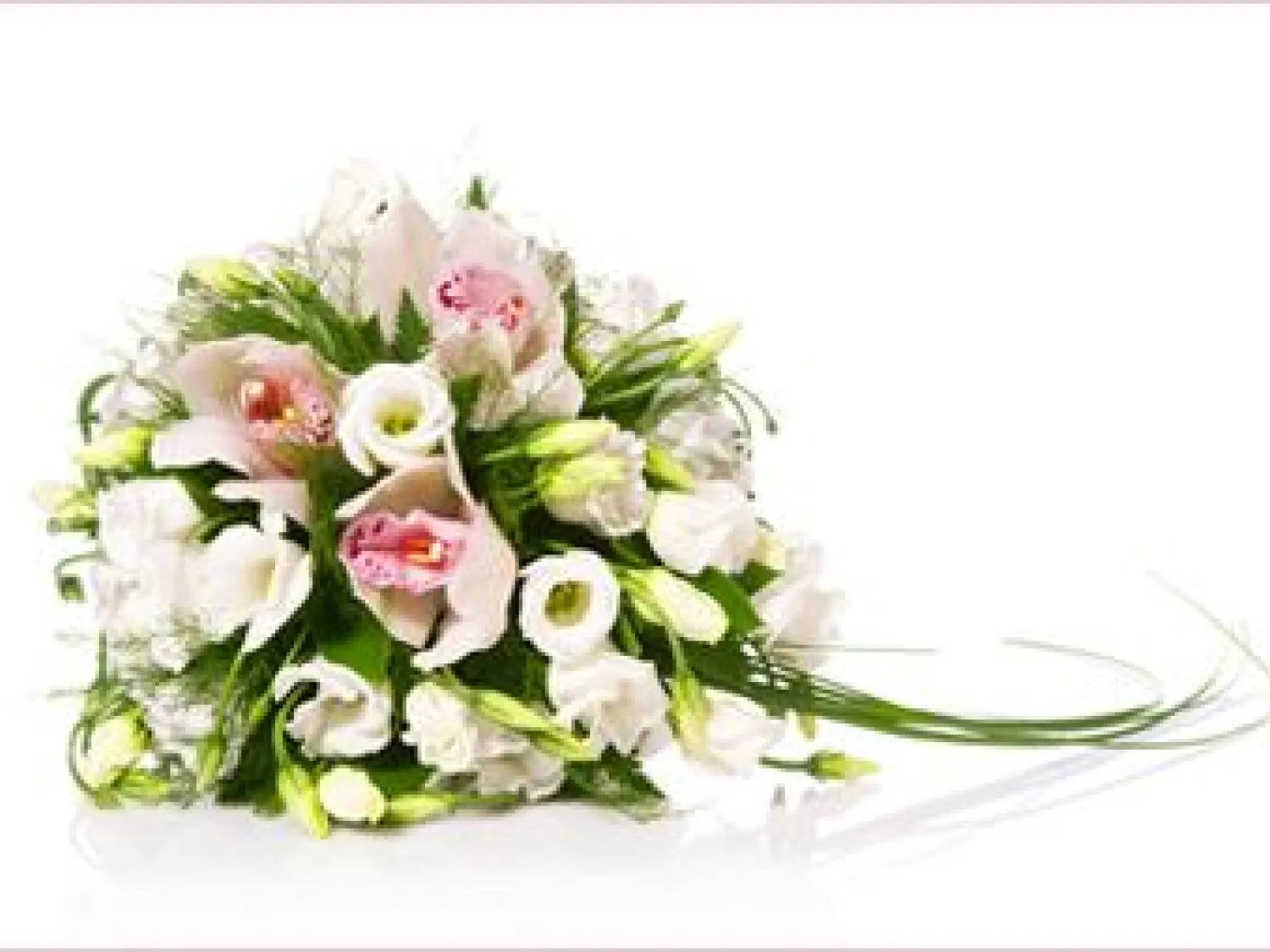 Bergsjö blommor & Ingelas Begravningsbyrå