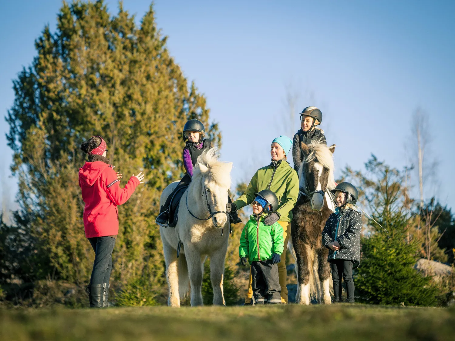 Storskogen's Horse Rides