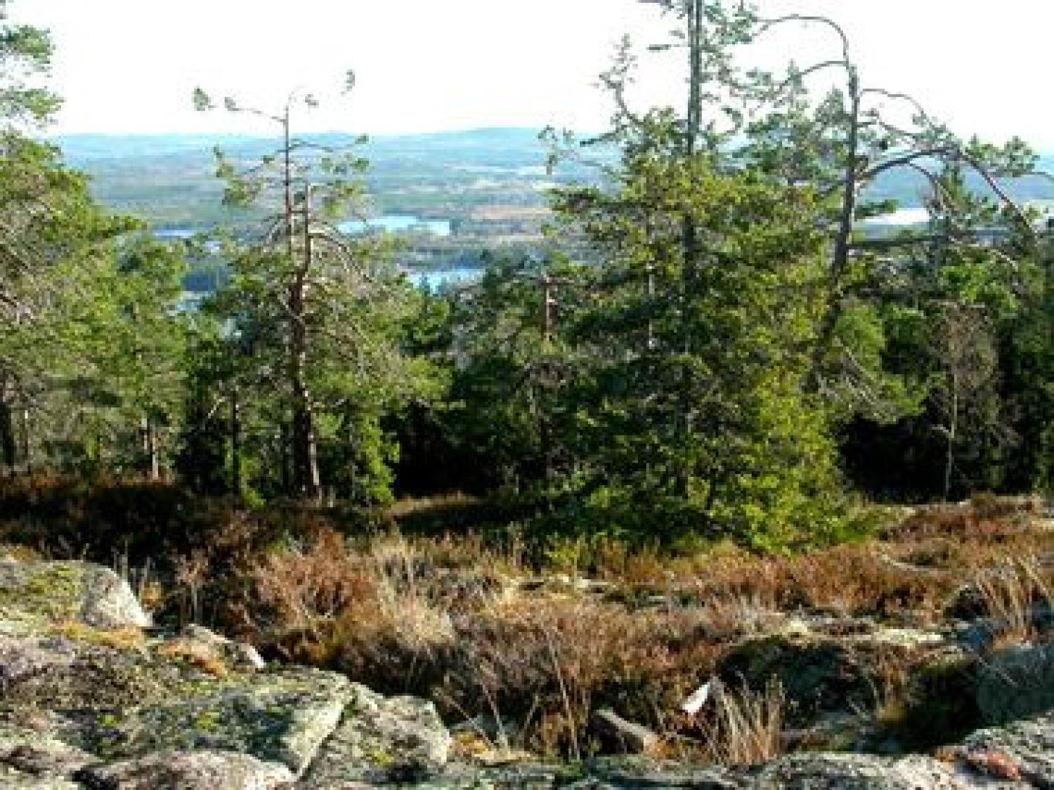 Älvåsen - naturreservat