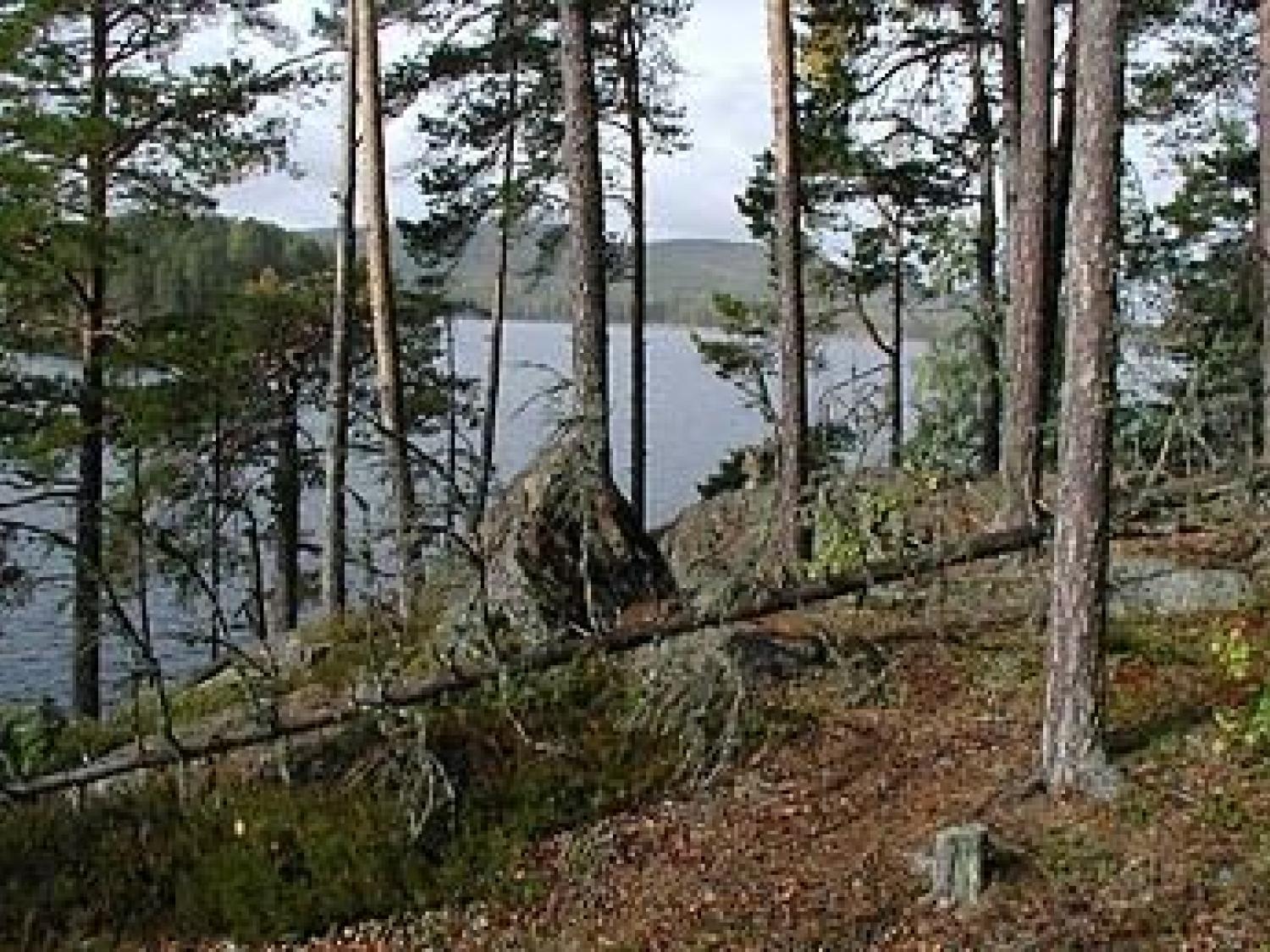 Storön naturreservat, Bergsjö