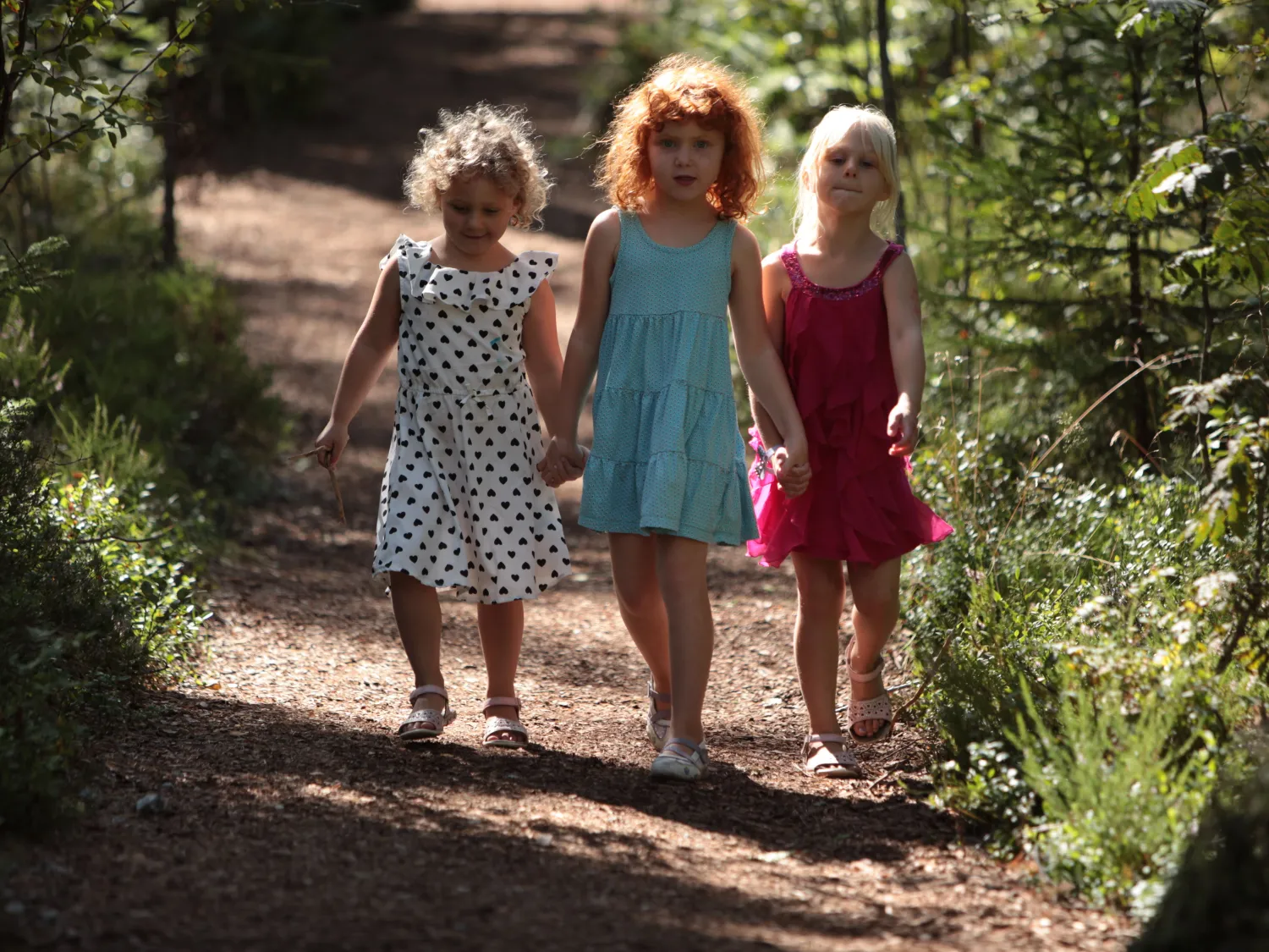 The Enchanted Forest - a family adventure