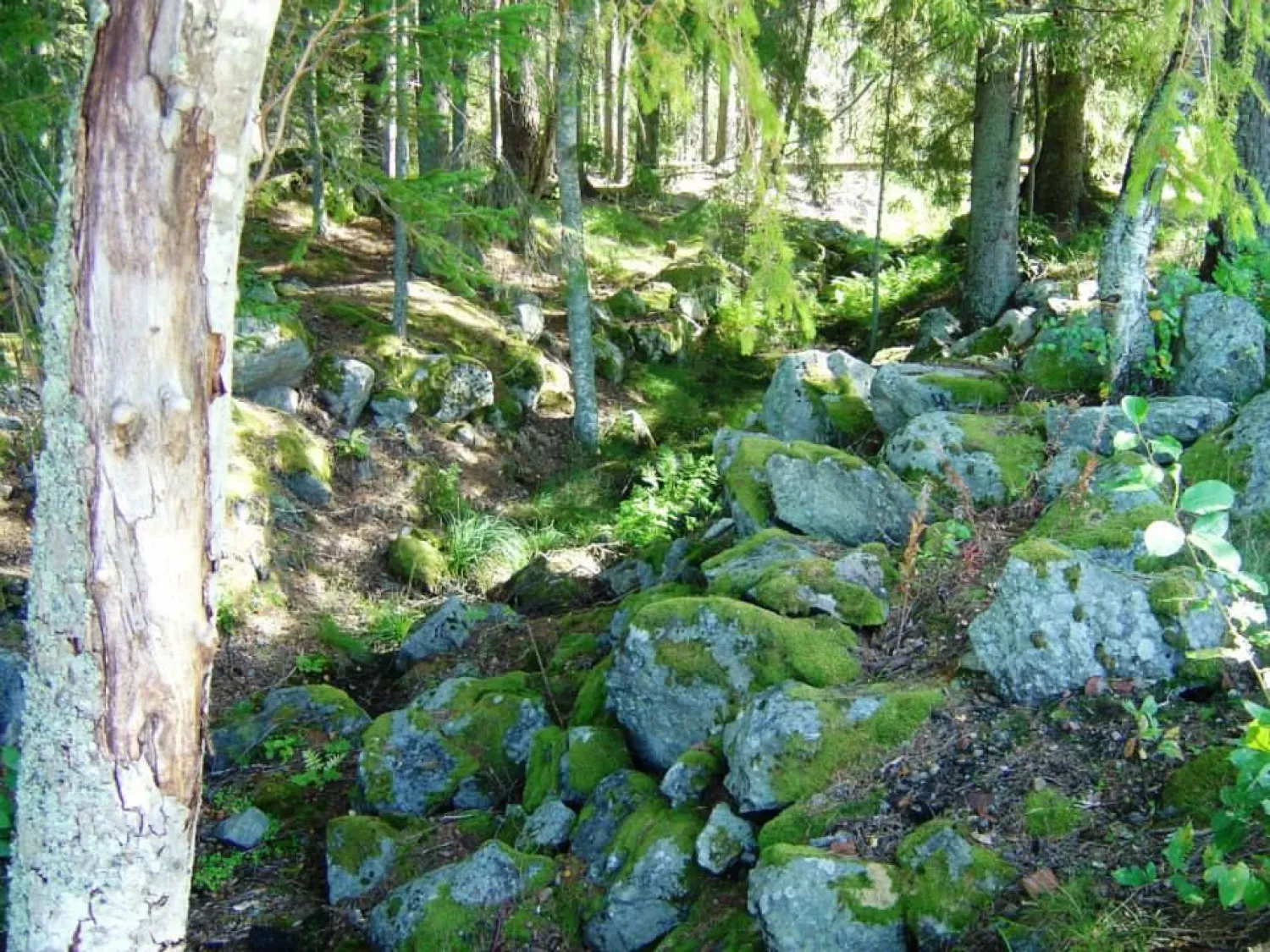 Nature trail