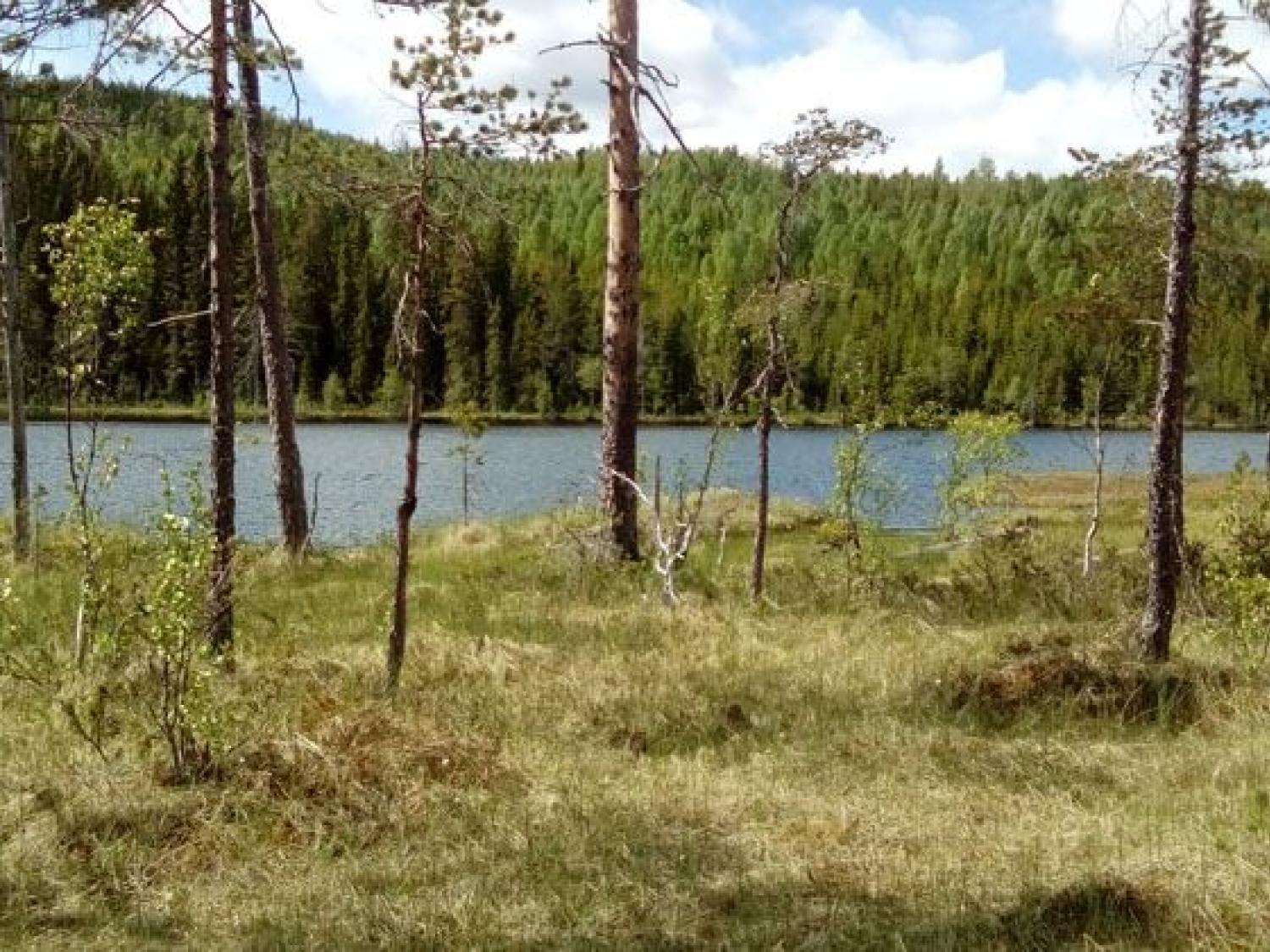 Bodåsen, Bergsjö, Nordanstig, Hälsingland