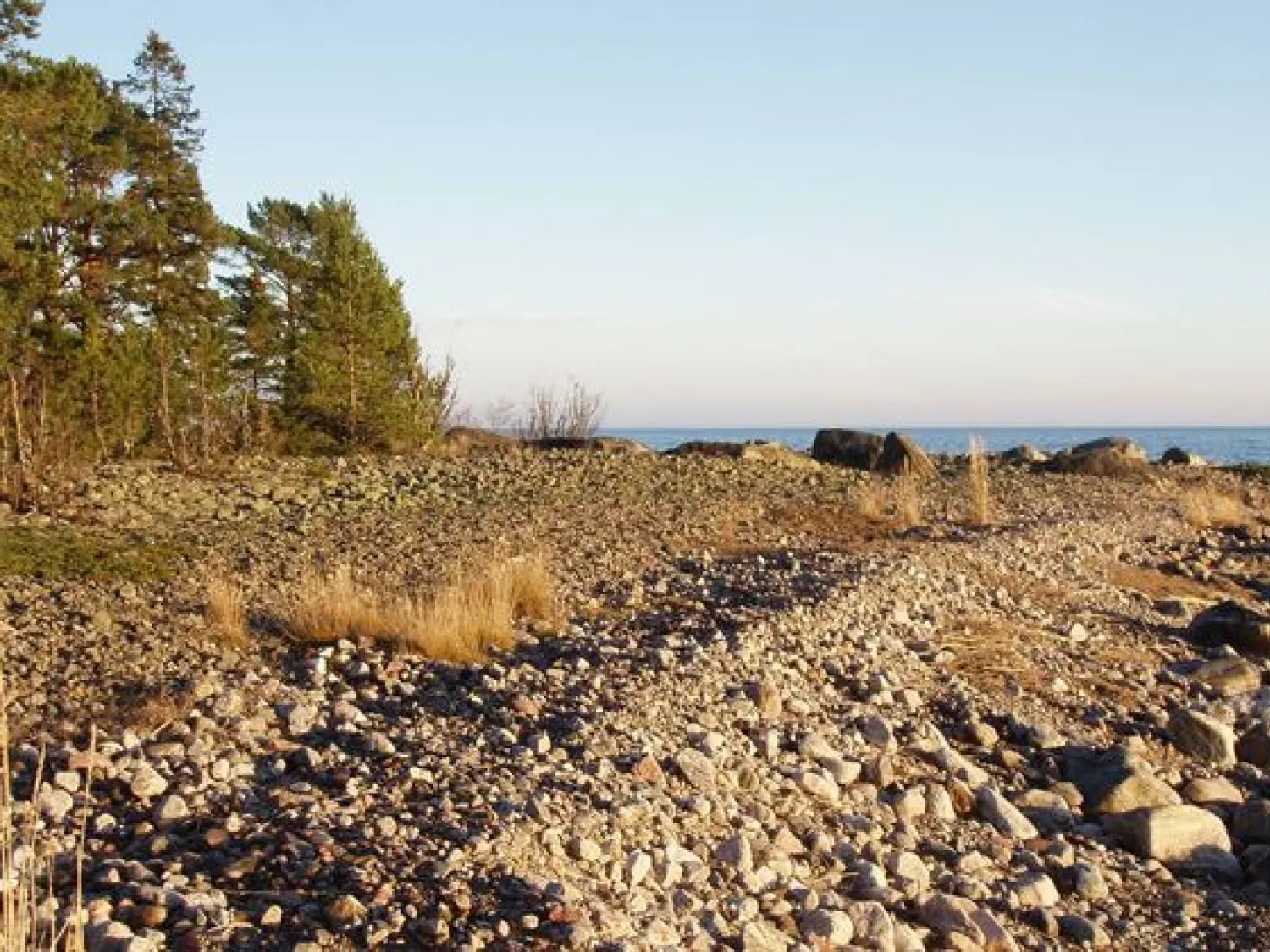 På Klackudden syns strandvallar över klapperstensfälten. Naturreservat. Nordanstigs kommun, Hälsingland