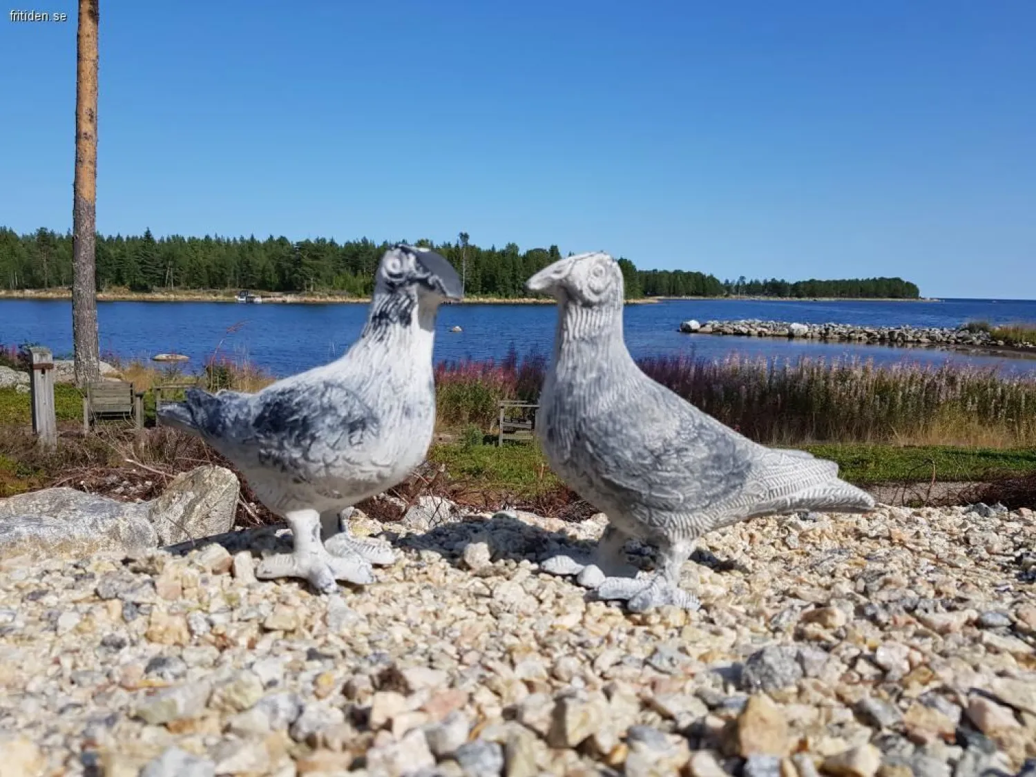 stuga, att hyra, lönnångersfjärden, hälsingland, nordanstig, sverige