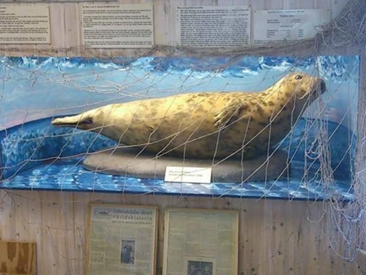 Kustmuseum Mellanfjärden