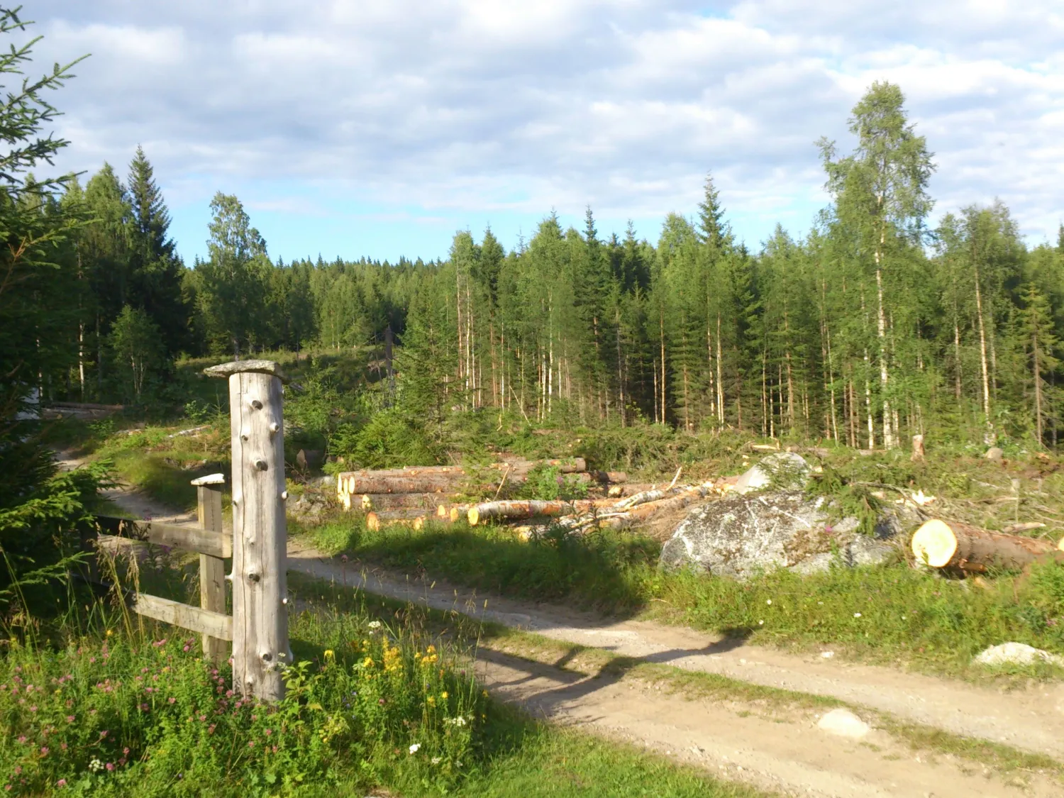 Hamrevallen, Bergsjö