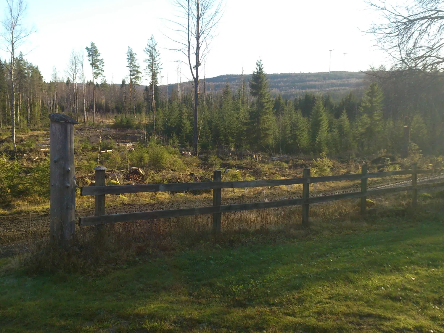 Hamrevallen, Bergsjö