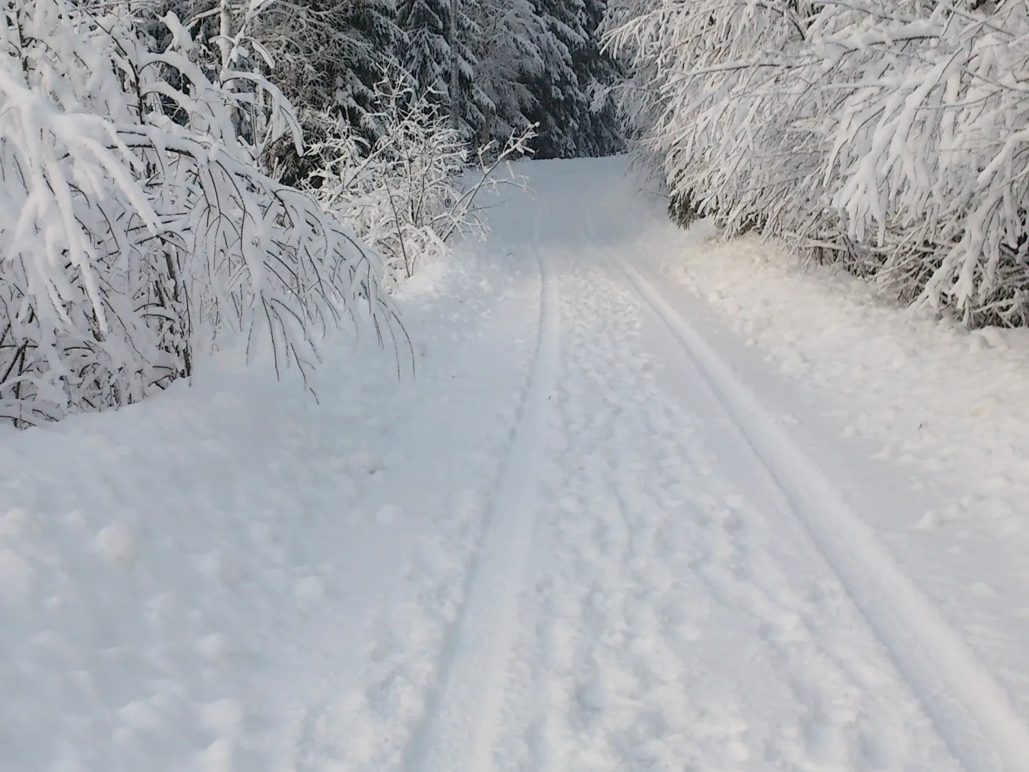 Hamrevallen, Bergsjö
