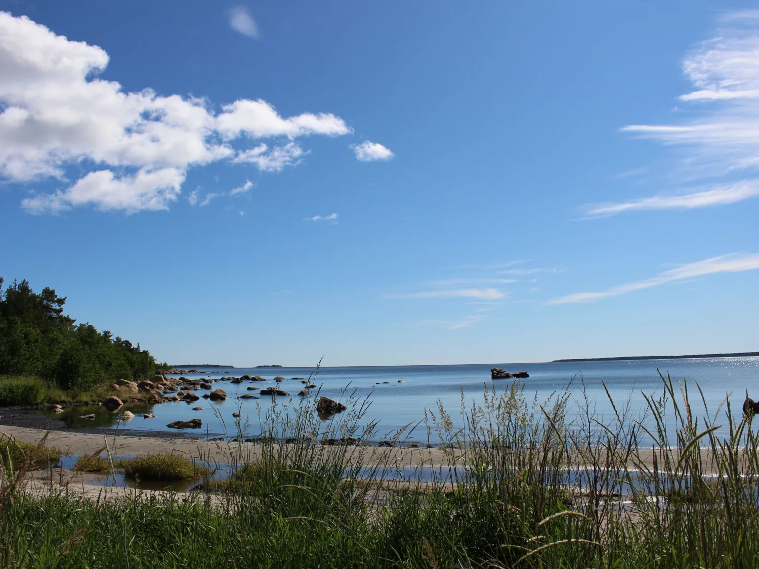 Morsvika