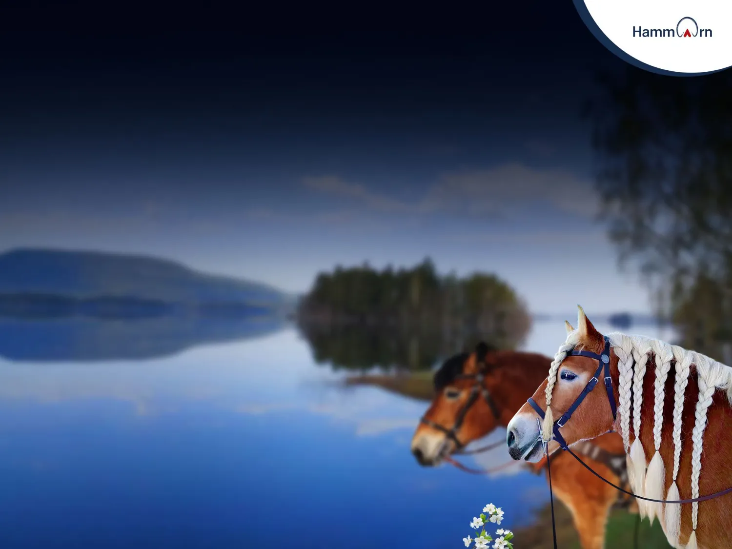 Hammarn - Horses, health & Farm