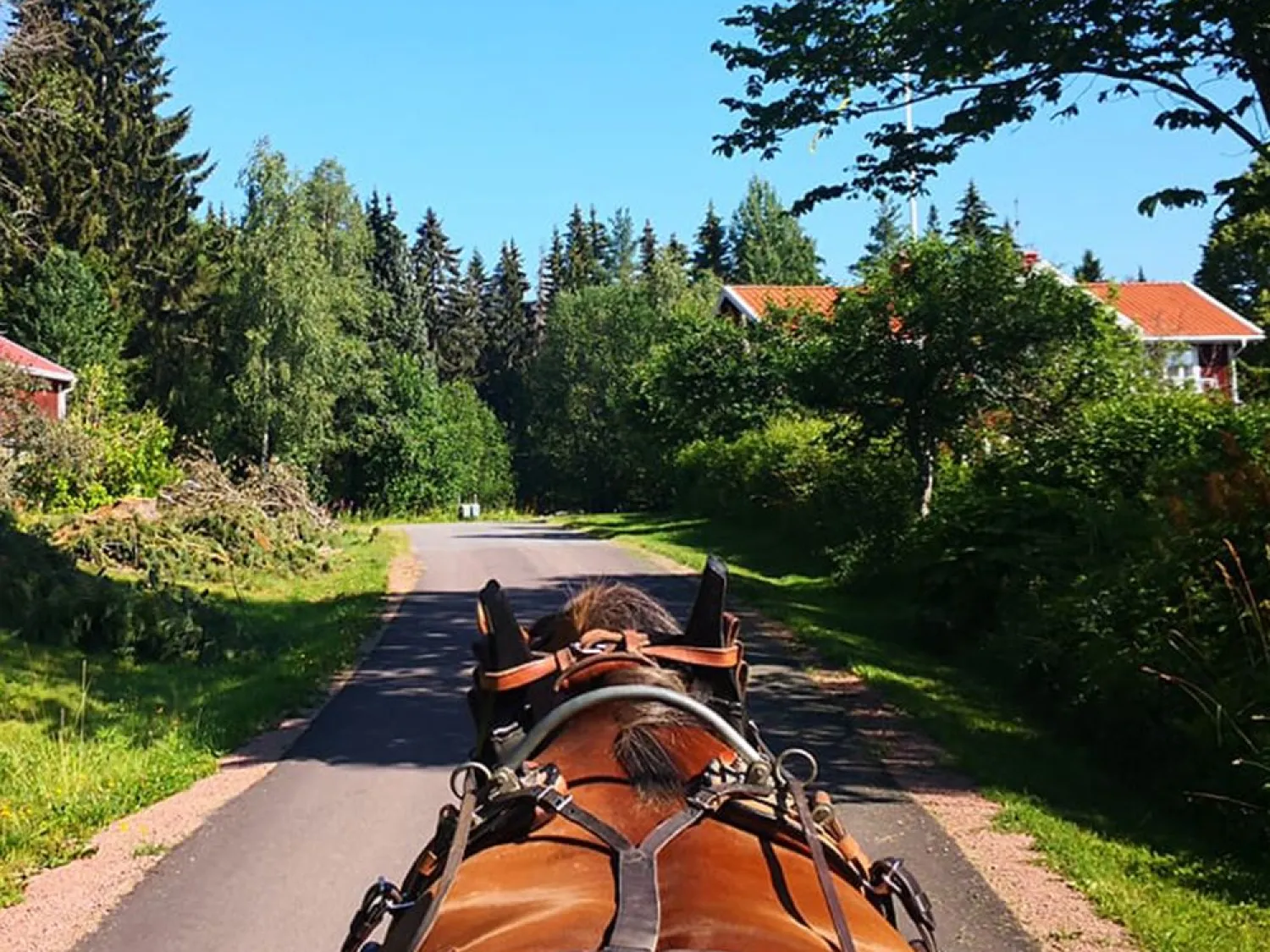 Hammarn - Horses, health & Farm