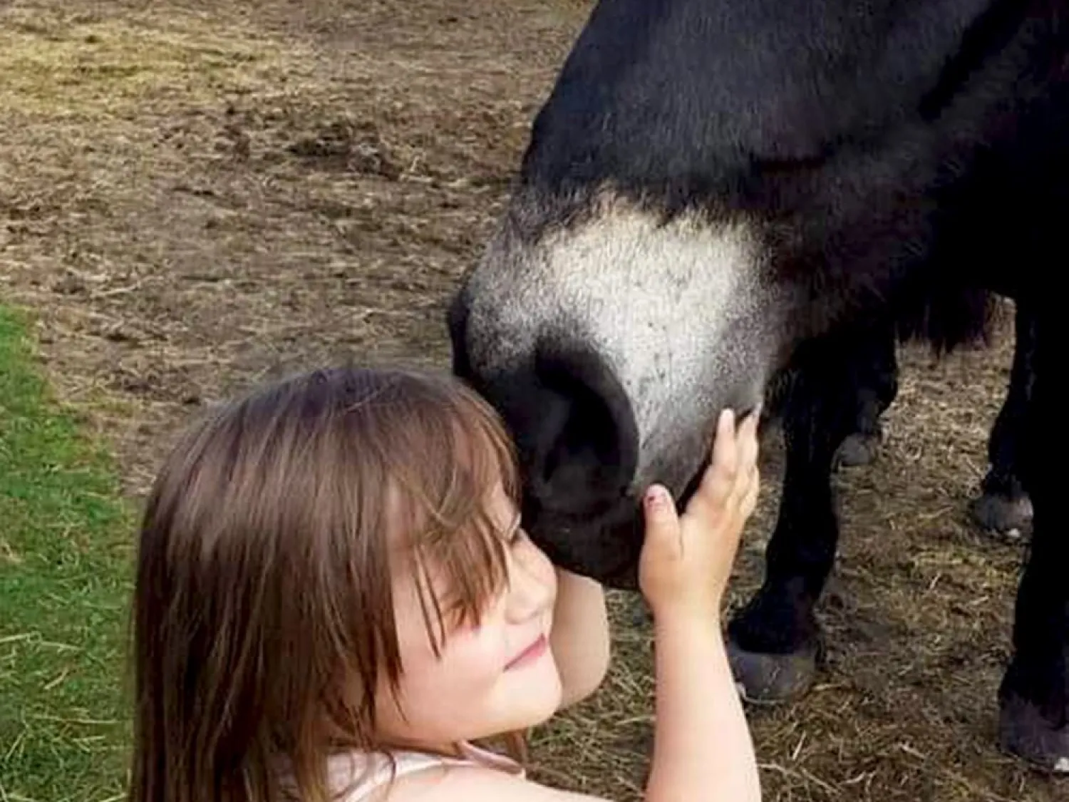 Hammarn - Horses, health & Farm