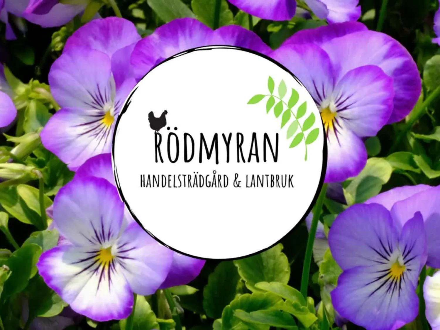 Logotype i bild och blommor i bakgrunden.