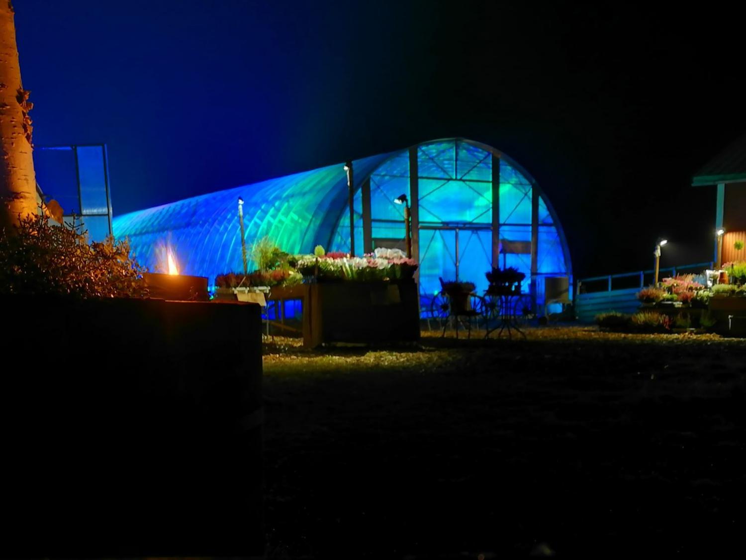 Kvällsbild på ett växthus med blå belysning