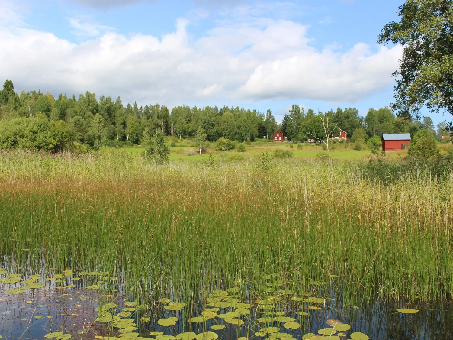Bo på landet - Östra Trösten, Bergsjö