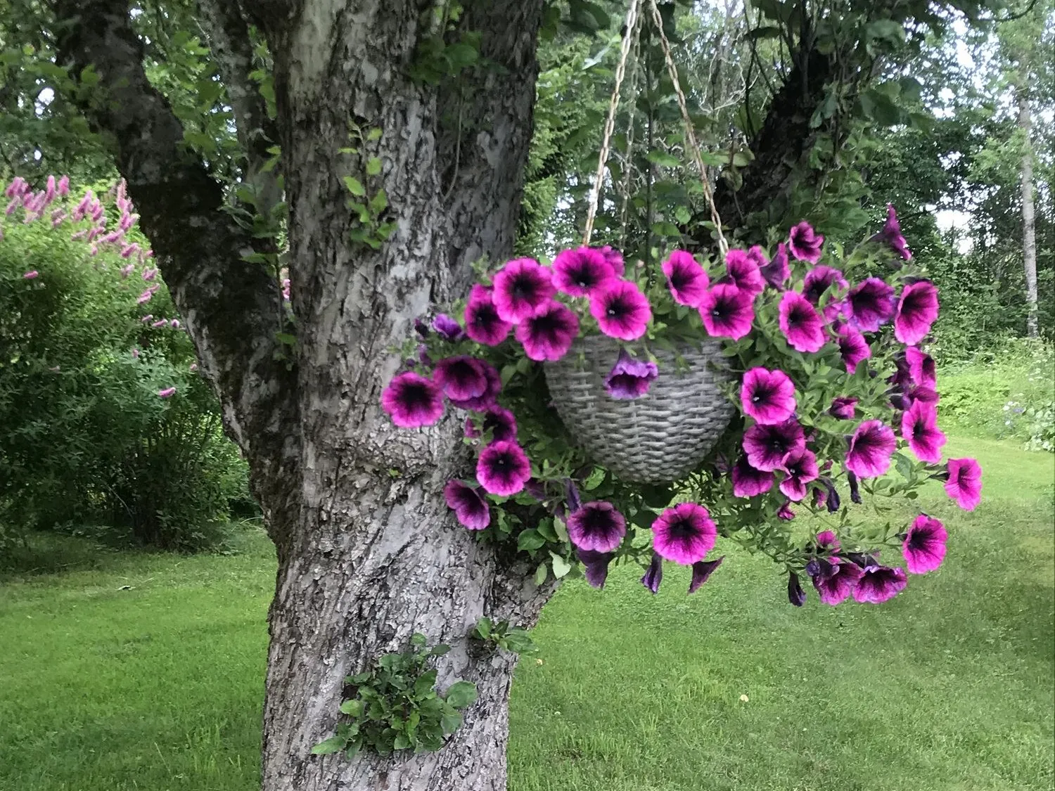 Bo på landet - Östra Trösten, Bergsjö
